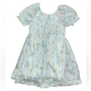 Zara Light Blue Floral Puff Sleeve Dress